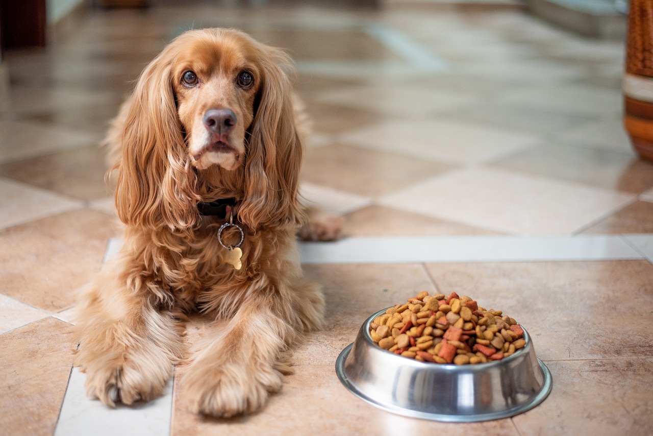 The Importance of Food Safety in Pet Nutrition